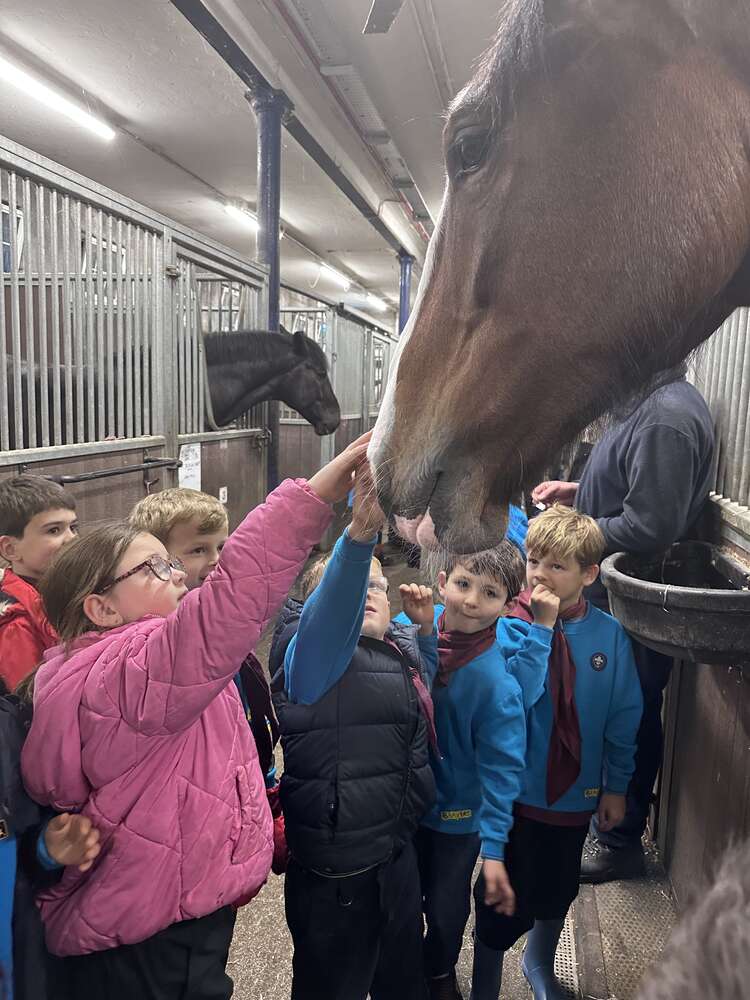 Beavers visit Imbercourt Police Horses