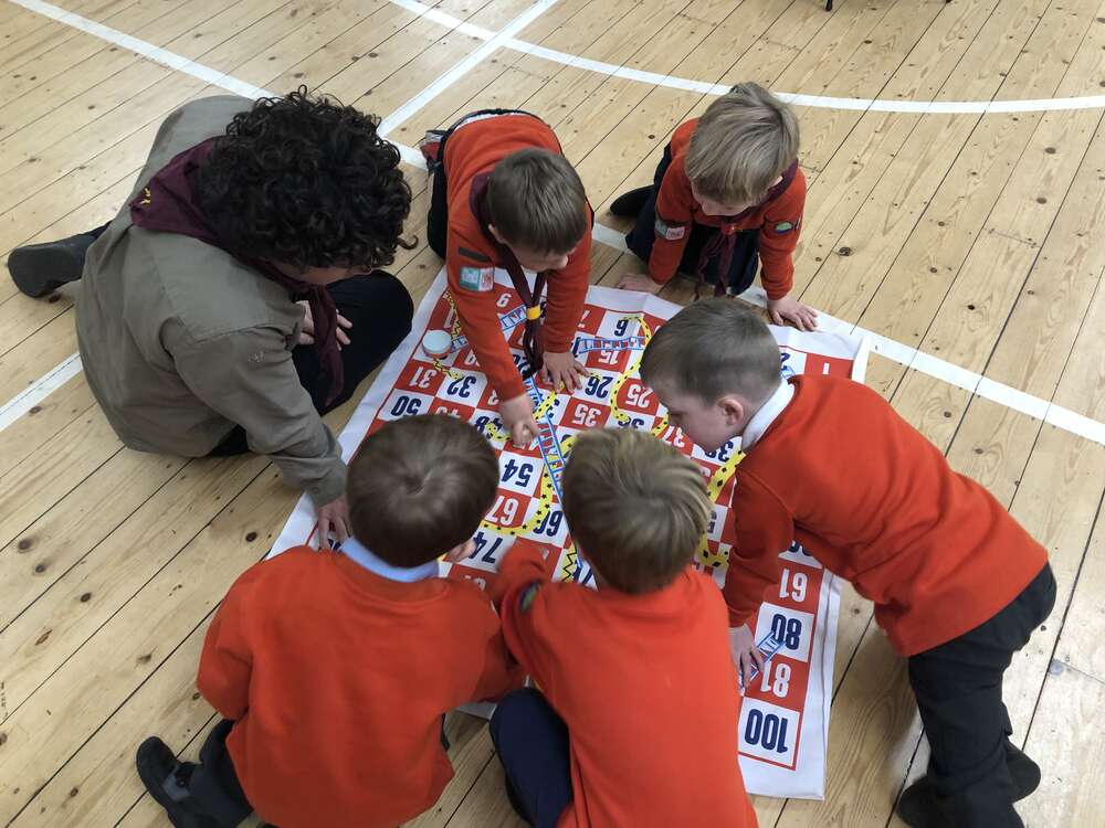 Busy Squirrels in their Drey 